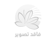 محدودیت صادرات زعفران 